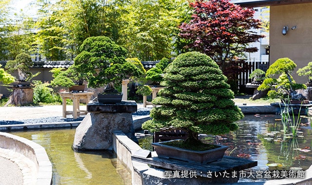 大宮盆栽美術館