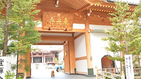 東光寺(北沢楽天の墓)