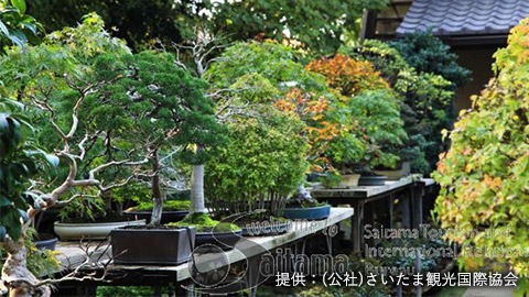 大宮盆栽村