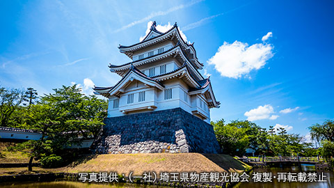 忍城(おしじょう)